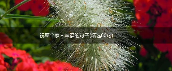 祝愿全家人幸福的句子(精选60句),第1张