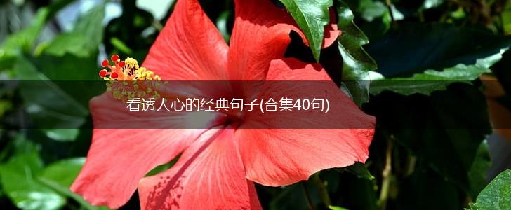 看透人心的经典句子(合集40句),第1张