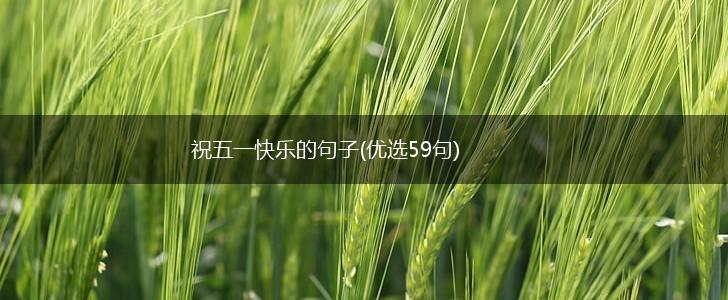 祝五一快乐的句子(优选59句),第1张