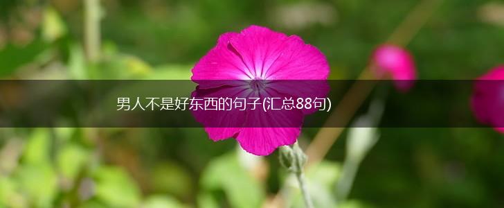 男人不是好东西的句子(汇总88句),第1张