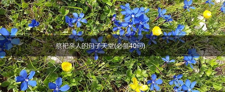 祭祀亲人的句子天堂(必备40句),第1张