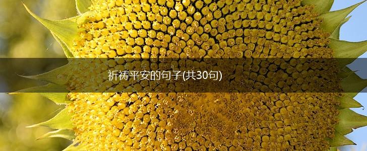 祈祷平安的句子(共30句),第1张