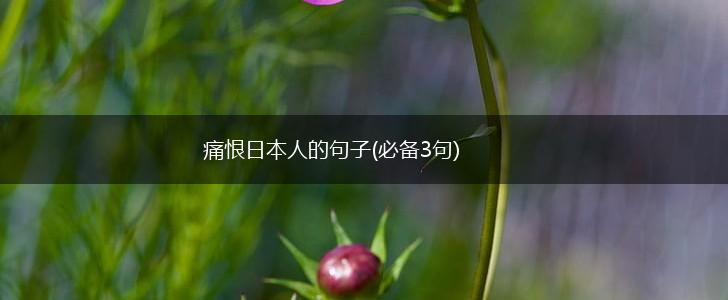痛恨日本人的句子(必备3句),第1张