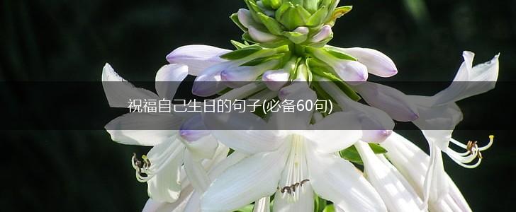 祝福自己生日的句子(必备60句),第1张