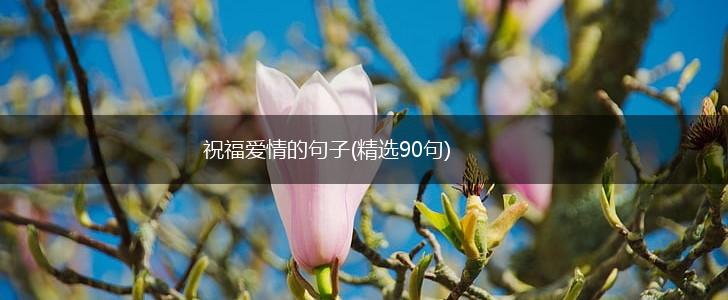 祝福爱情的句子(精选90句),第1张