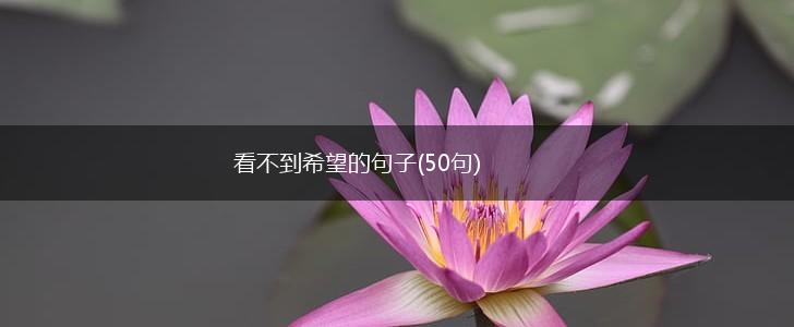 看不到希望的句子(50句),第1张