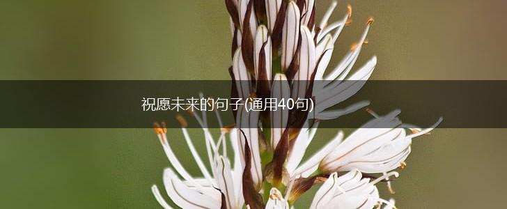 祝愿未来的句子(通用40句),第1张