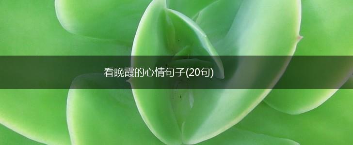 看晚霞的心情句子(20句),第1张