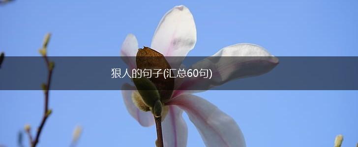 狠人的句子(汇总60句),第1张