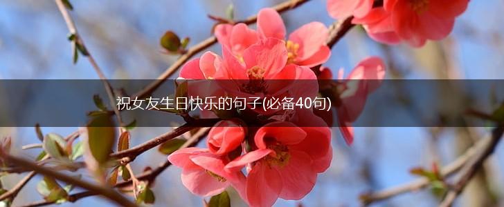 祝女友生日快乐的句子(必备40句),第1张