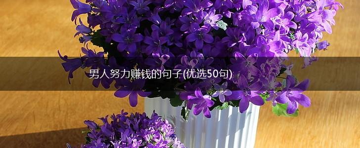 男人努力赚钱的句子(优选50句),第1张