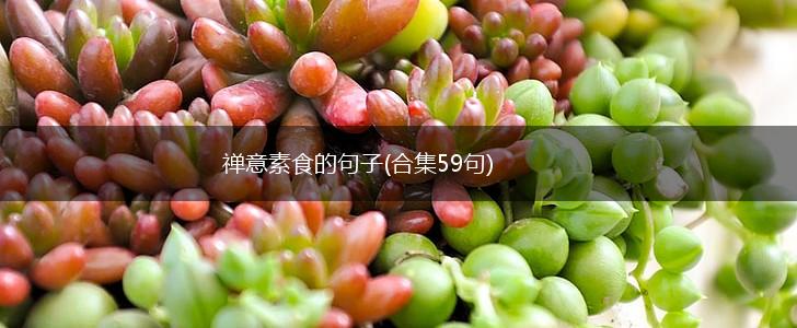 禅意素食的句子(合集59句),第1张