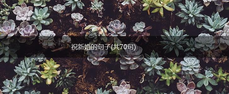 祝新婚的句子(共70句),第1张
