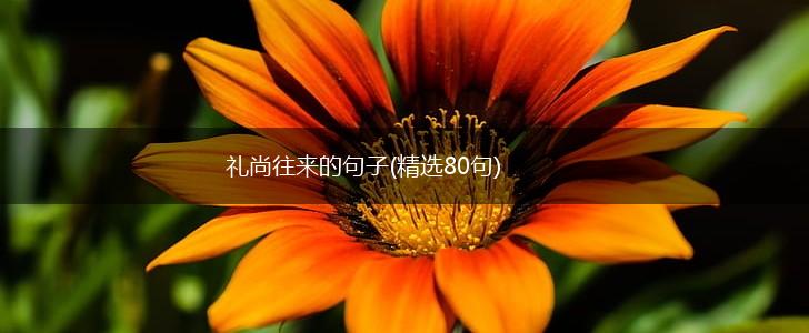 礼尚往来的句子(精选80句),第1张