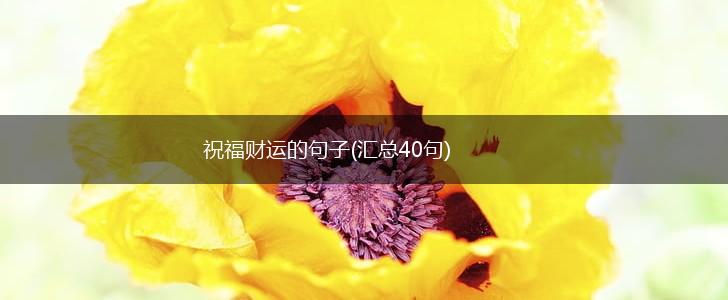 祝福财运的句子(汇总40句),第1张