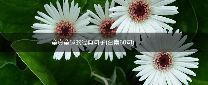 童真童趣的经典句子(合集60句),第1张