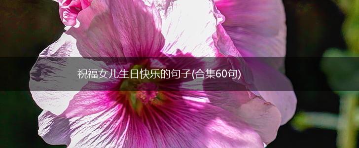 祝福女儿生日快乐的句子(合集60句),第1张