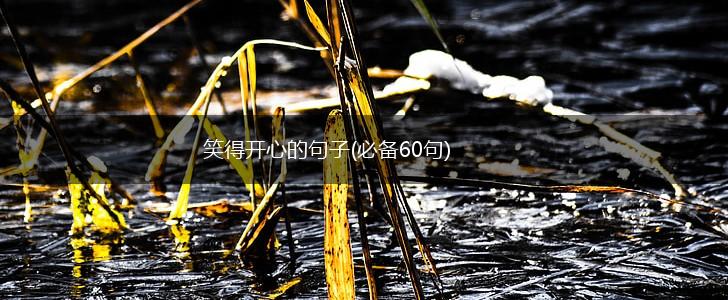 笑得开心的句子(必备60句),第1张