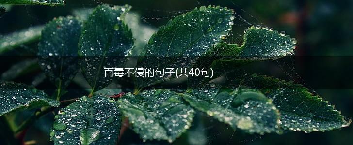 百毒不侵的句子(共40句),第1张
