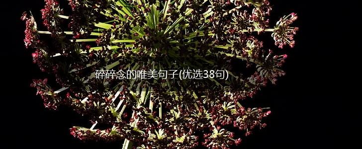 碎碎念的唯美句子(优选38句),第1张
