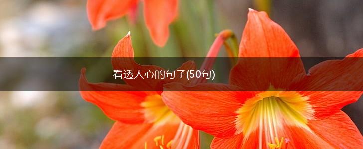 看透人心的句子(50句),第1张