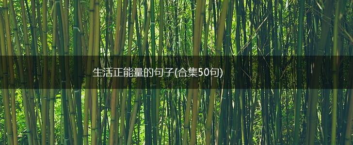 生活正能量的句子(合集50句),第1张
