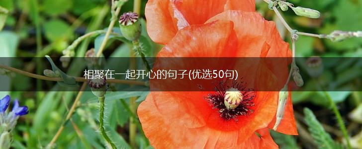 相聚在一起开心的句子(优选50句),第1张