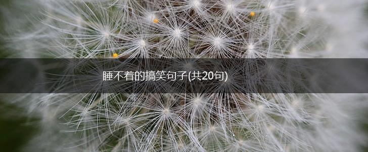 睡不着的搞笑句子(共20句),第1张