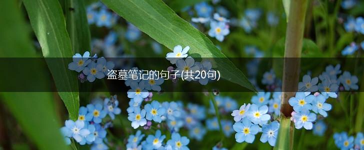 盗墓笔记的句子(共20句),第1张