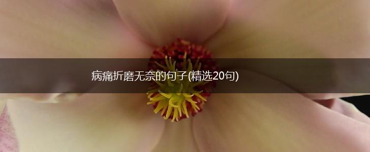 病痛折磨无奈的句子(精选20句),第1张