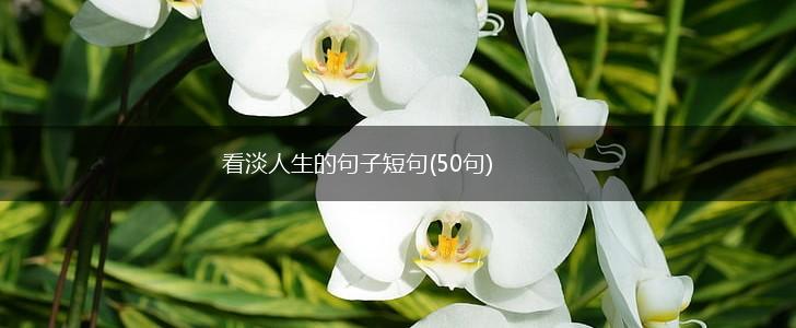 看淡人生的句子短句(50句),第1张