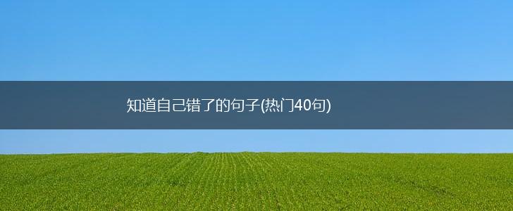 知道自己错了的句子(热门40句),第1张