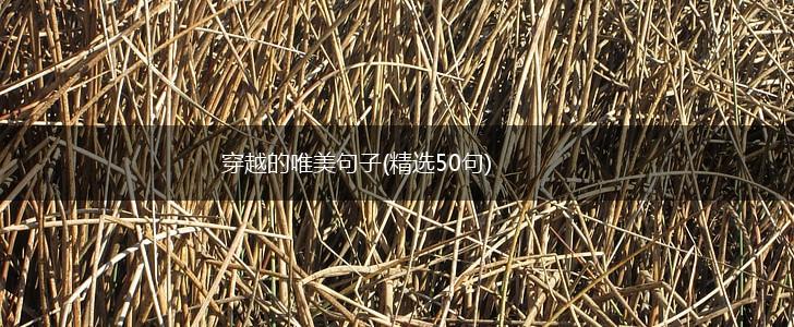 穿越的唯美句子(精选50句),第1张