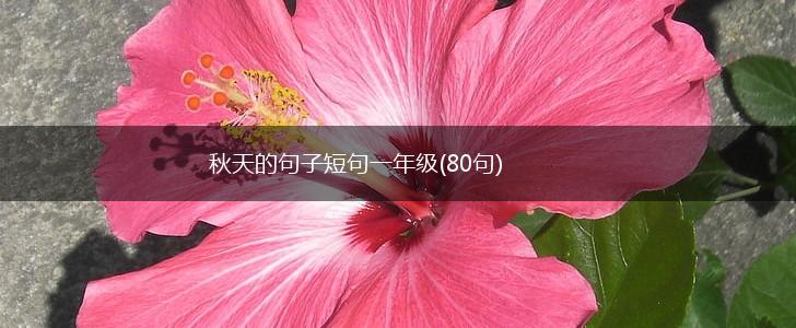 秋天的句子短句一年级(80句),第1张
