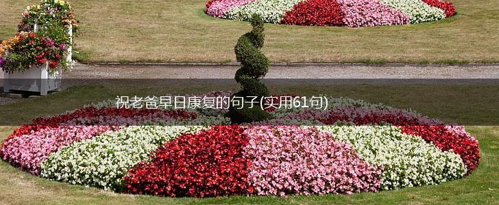 祝老爸早日康复的句子(实用61句),第1张