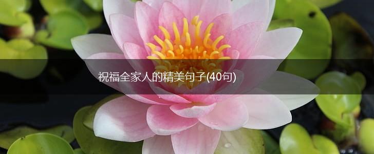 祝福全家人的精美句子(40句),第1张