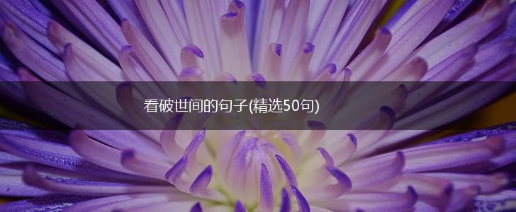 看破世间的句子(精选50句),第1张