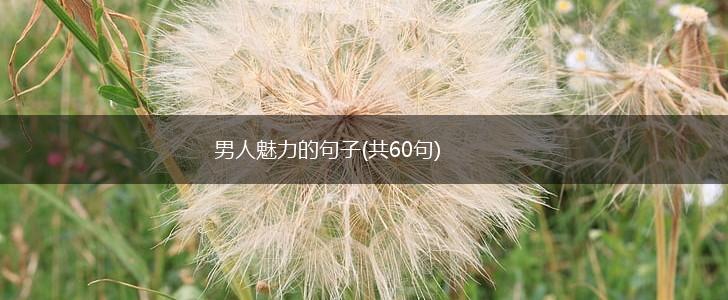 男人魅力的句子(共60句),第1张