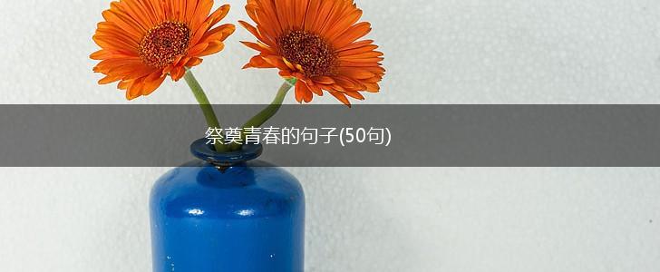 祭奠青春的句子(50句),第1张