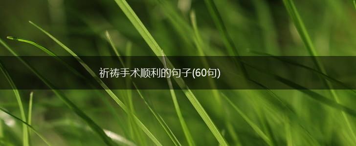 祈祷手术顺利的句子(60句),第1张