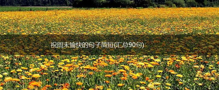 祝周末愉快的句子简短(汇总90句),第1张