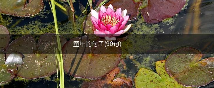 童年的句子(90句),第1张