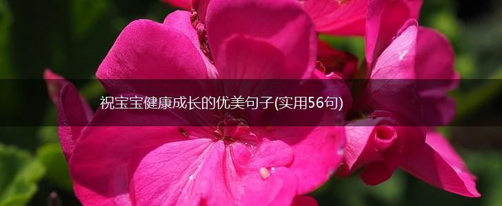 祝宝宝健康成长的优美句子(实用56句),第1张