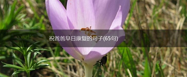 祝爸爸早日康复的句子(65句),第1张