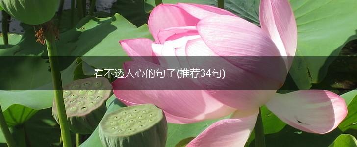 看不透人心的句子(推荐34句),第1张