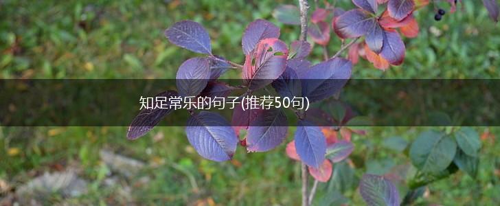知足常乐的句子(推荐50句),第1张