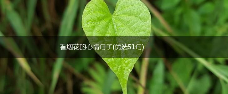 看烟花的心情句子(优选51句),第1张