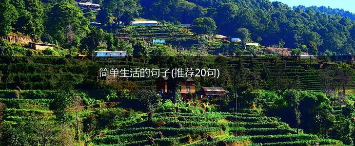 简单生活的句子(推荐20句),第1张