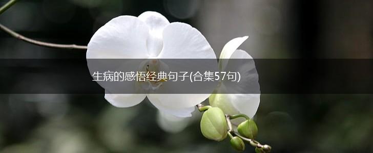 生病的感悟经典句子(合集57句),第1张