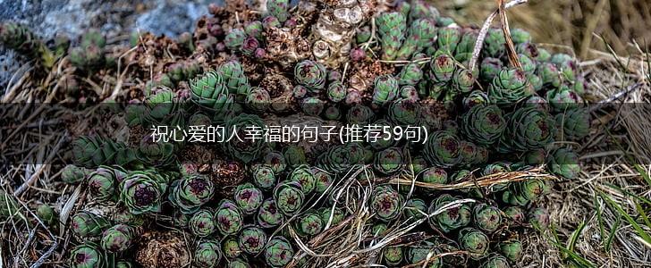 祝心爱的人幸福的句子(推荐59句),第1张
